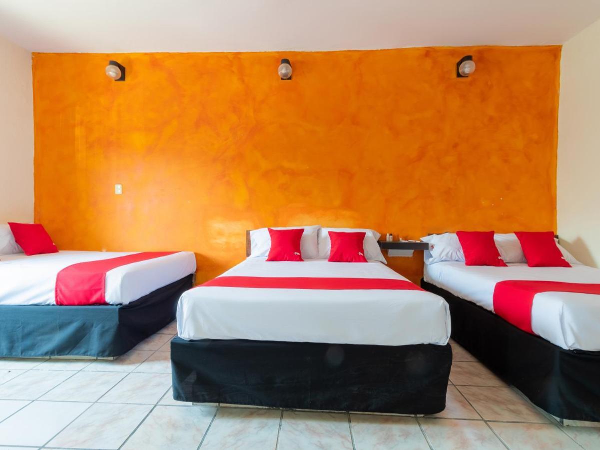 Oyo Hotel Cimsa 韦拉克鲁斯 外观 照片